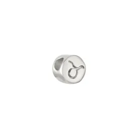 Taurus Charm