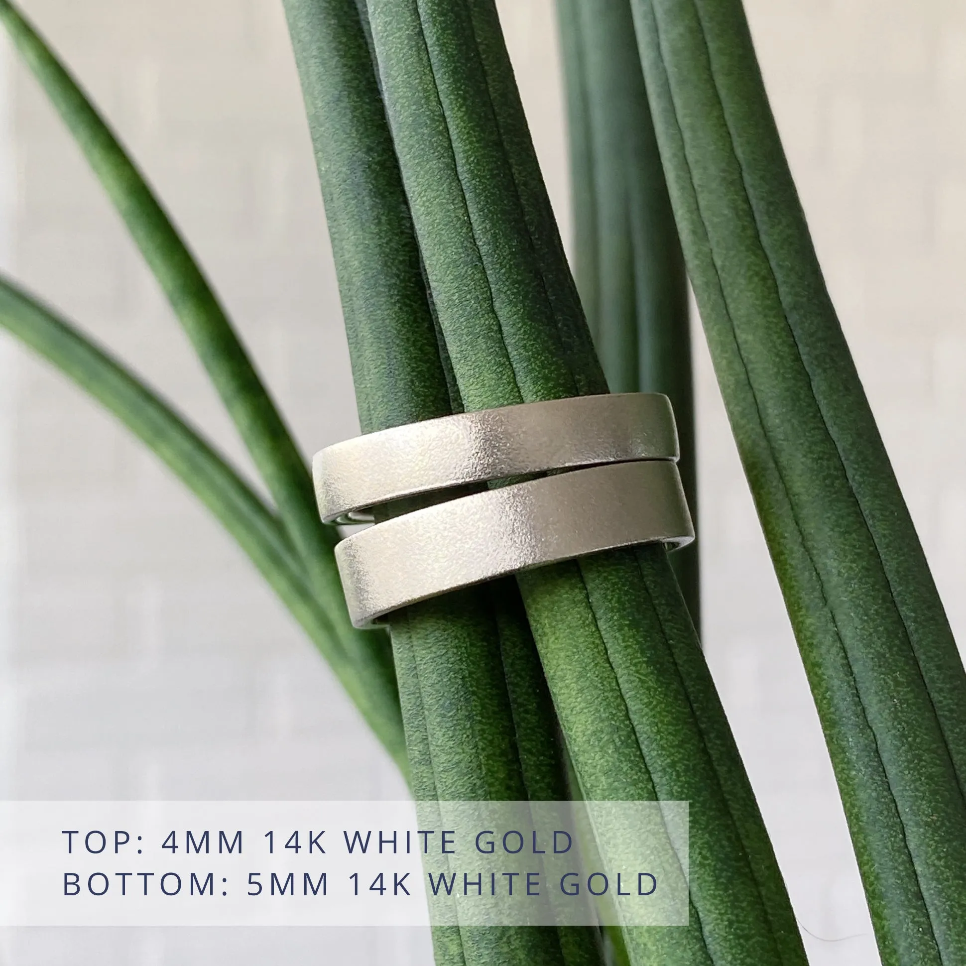 Yosemite Flat Wide Band