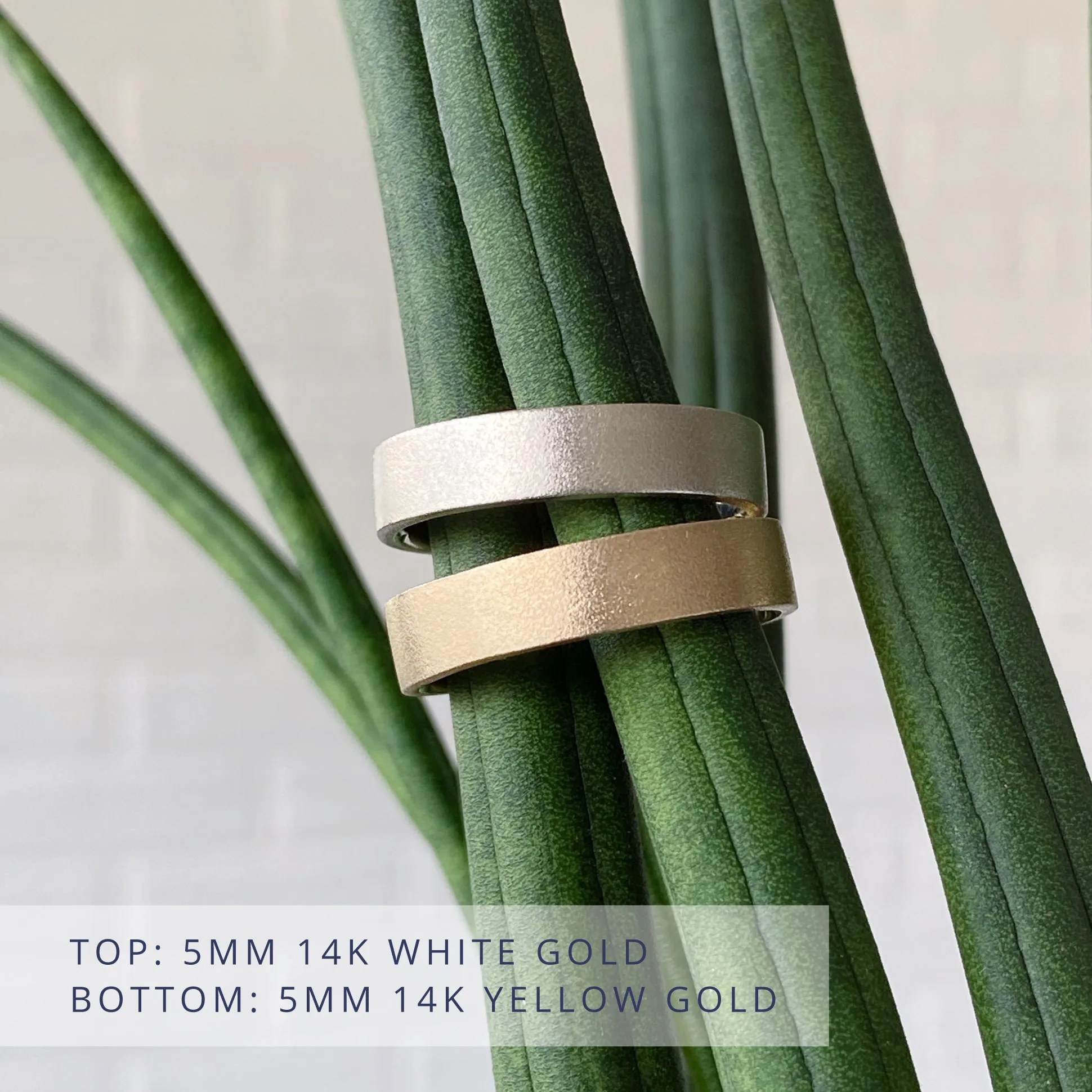 Yosemite Flat Wide Band